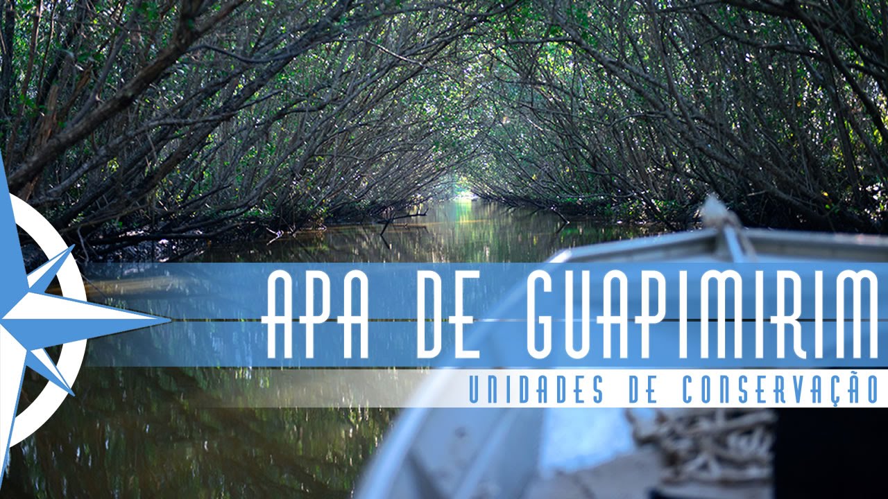 Área de Preservação Ambiental de Guapimirim - Episódio 25