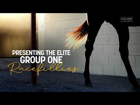 2021 Magic Millions National Broodmare Sale - Racefillies