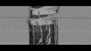 26   HALLOWEEN CIRCO NERO amp AMANDA LEPORE