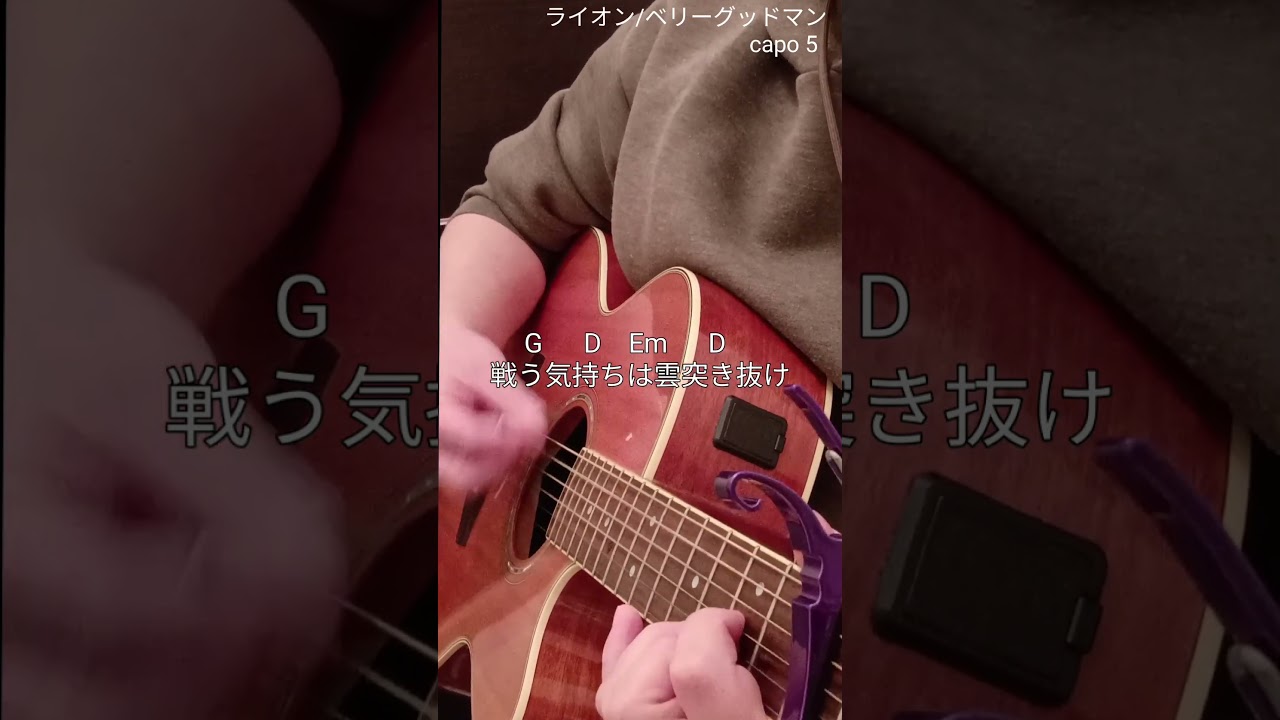 【ライオン/ベリーグッドマン】4つの簡単コードにアレンジして弾き語り #ライオン #ベリーグッドマン #弾き語り #弾き語り好きな人と繋がりたい #簡単ギター