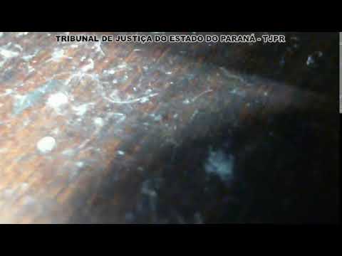 Júri Colombo 25.08.2022