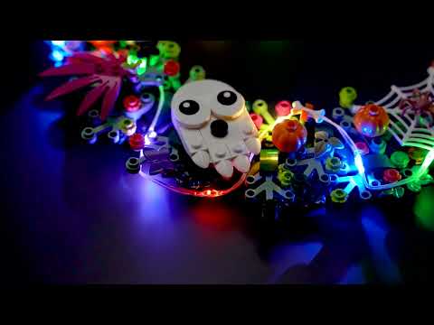 CBD for Cats Video Preview