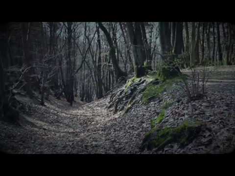 Beispiel Video #1 (MXMLN.  FILM)