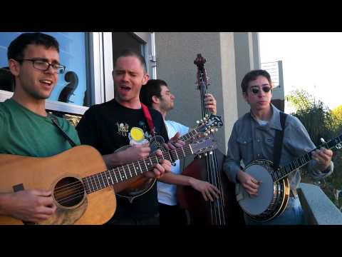 Mirror on the Wall - The Birdhive Boys