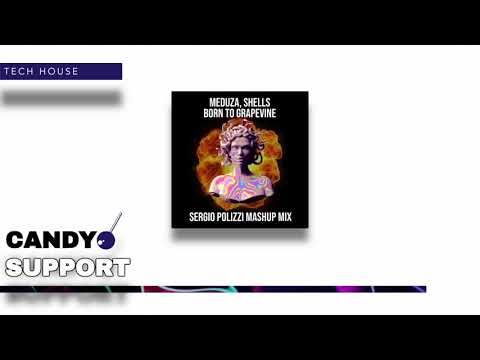 Meduza, Shells - Born to Grapevine (Sergio Polizzi Mash Up Mix)