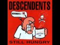 Descendents -  Hope