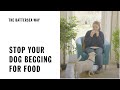 Stop Your Dog Begging For Food The Battersea Way