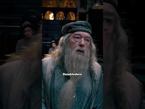 Who Was Harry Potter's Father Figure