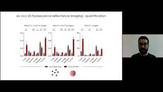 Optical imaging of the whole-body to cellular biodistribution of clinical-stage PEG-b-pHPMA...