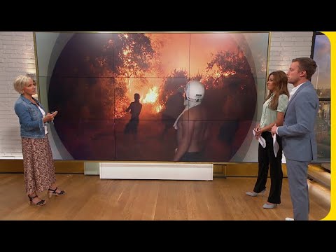 Historiska värmerekord sätter Europa i brand | Nyhetsmorgon | TV4 & TV4 Play