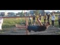 Workout 2011 г. Гай (турникмэны) 