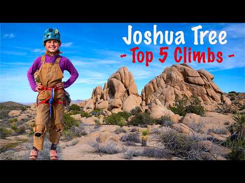 I Climbed All The Best Joshua Tree Routes (5.7 - 5.11) In One Day!