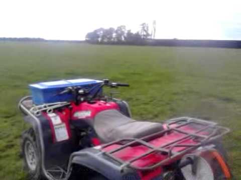 In the paddock - diary farming