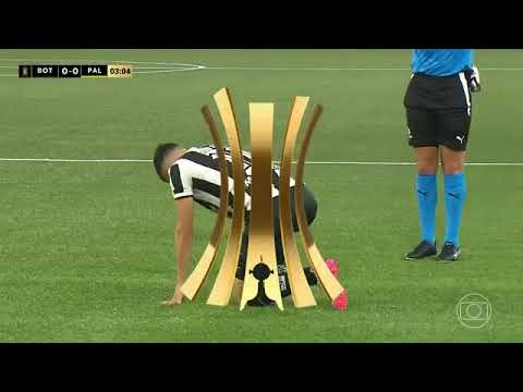 BOTAFOGO 2 x 1 PALMEIRAS | O MELHOR JOGO DA LIBERTADORES 2024 | JOGO COMPLETO