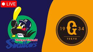 東京ヤクルトスワローズ 🔵 vs 読売ジャイアンツ 🟠 ライブ | NPB 日本プロ野球 | ゲームシミュレーション