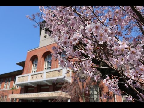 【同志社女子大学】2017年度 入学式