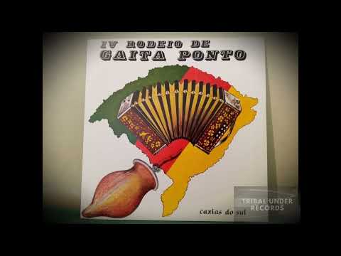 Wilson Bueno - Festival Da Gaita Ponto