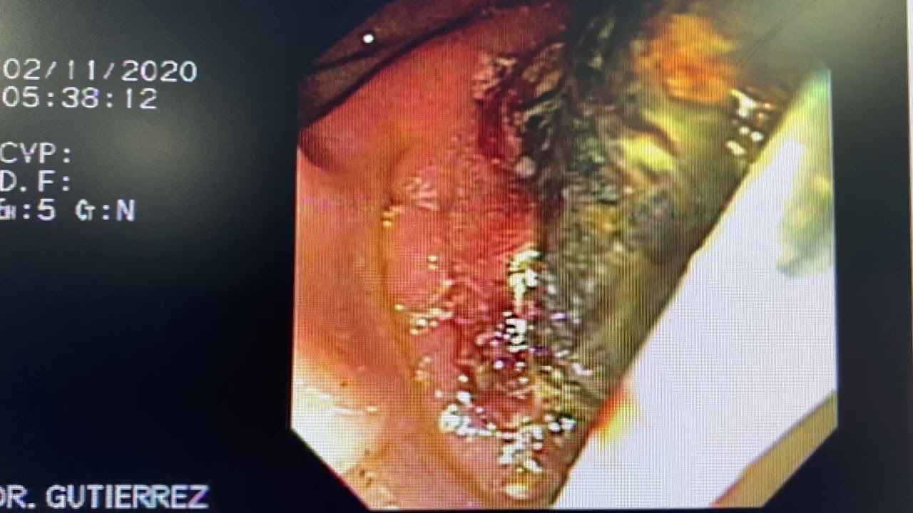 Constantino Fernando Gutierrez De Aranguren-4