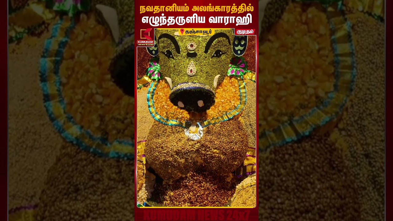 நவதானியம் அலங்காரத்தில் எழுந்தருளிய வாராஹி | Thanjavur Periya Kovil | Varahi Amman | Kumudam News நவதானியம் அலங்காரத்தில் எழுந்தருளிய வாராஹி | Thanjavur Periya Kovil | Varahi Amman | Kumudam News