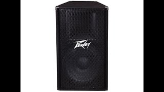 Video thumbnail for PEAVEY PV-115 / мини-обзор / звук by GOOSE / ГУСЬ