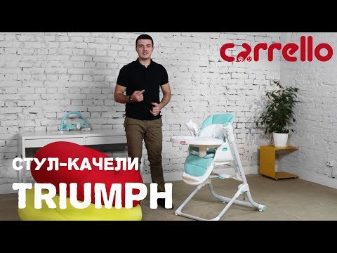 фото стульчик triumph  3в1 0