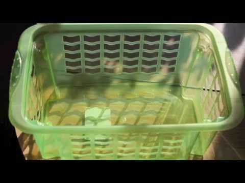 Ron & Fez - The Hardcore Hygiene Challenge (Fez Vs. Dave)