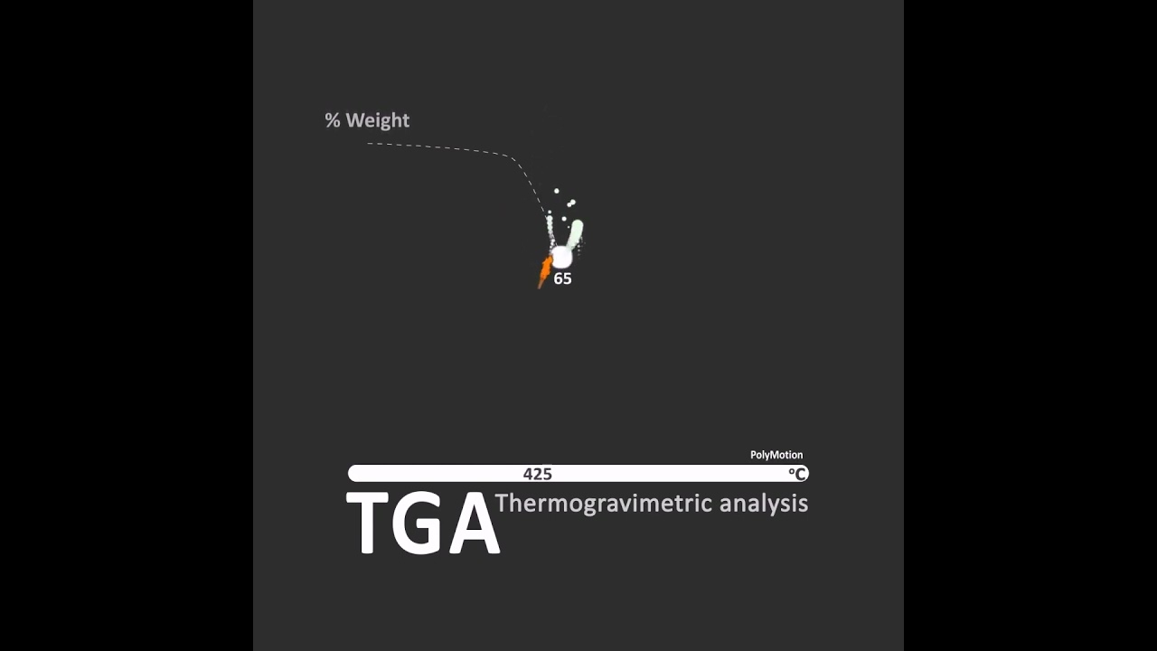 TG Analysis