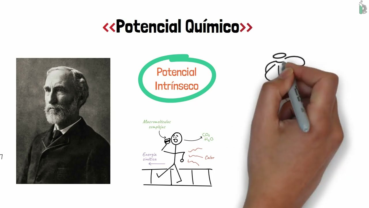 ¿Qué es el Potencial Químico?🤔 (animado y con ejemplos)