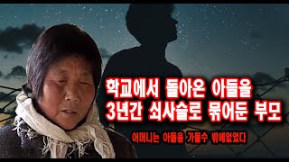 Download lagu A mother's choice for her son: Overseas incidents and accidents mp3 Download lagu A mother's choice for her son: Overseas incidents and accidents mp3