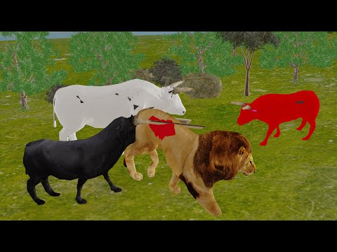 sheeko gaaban: saddexdii dibi iyo libaaxii  iyo jabkii kudhcay dibiyaasha