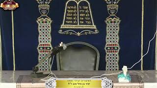 בית המדרש "תורת דוד" ¤ שידור חי ¤ ד' אב תשפ"ה (29.7.2025) (מוסדות תורת דוד) - התמונה מוצגת ישירות מתוך אתר האינטרנט יוטיוב. זכויות היוצרים בתמונה שייכות ליוצרה. קישור קרדיט למקור התוכן נמצא בתוך דף הסרטון