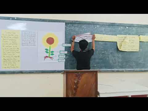 GRADE 4 PARTS OF THE PLANTS, BENLADDIN CAPITAN 2BEEd-D