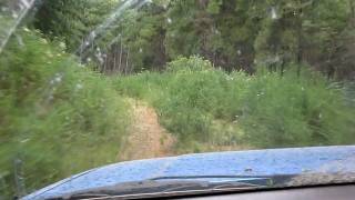 preview picture of video 'Off Roading in a Pine Plantation'