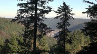 preview picture of video 'Urlaub Bad Wildbad nördl. Schwarzwald, Germany 11-2014 Serie T12'