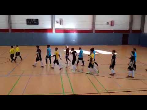 FC Maihan Hamburg gegen FCV Persian Futsal