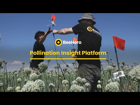 BeeHero's PIP - Pollination Insight Platform logo