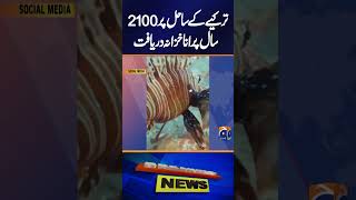 Archaeologists Discover 2,100-Year-Old Ceramics Under the Sea | Breaking News