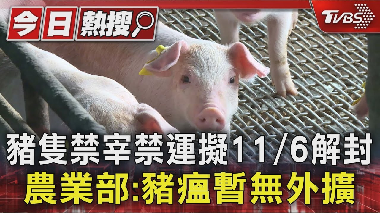豬隻禁宰禁運擬11/6解封 農業部:非洲豬瘟暫無外擴