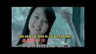 LIANG ZHI HU DIE | 两只蝴蝶 | MANDARIN SONG