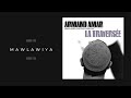 Armand Amar - Mawlawiya