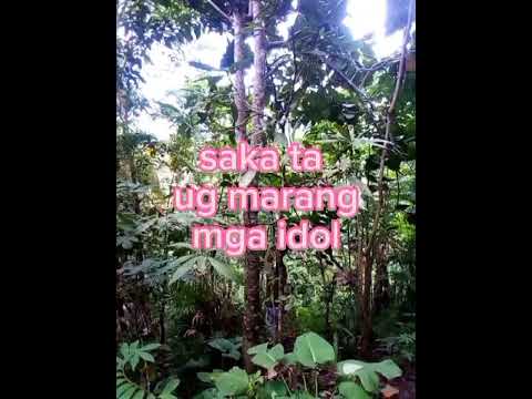 #Mag date mi ni Misis sa Bukid