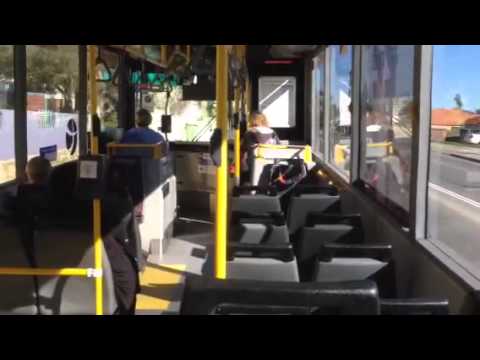 Transperth TP1333 - Mercedes-Benz O405NH (Voith)