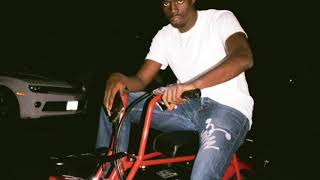 Danimals-Sheck Wes