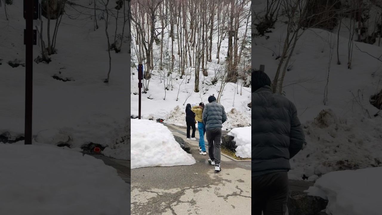 shinhotaka cablecar in japan