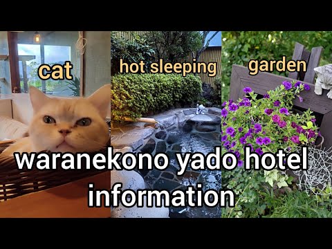 waranekono yado　Hotel Information