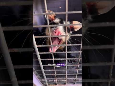 Essa família deu trabalho! 🙆‍♂️