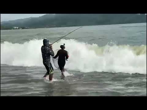 Buenas piezas de róbalo desde la playa de acándi choco el paraíso 