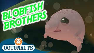 Octonauts - Blobfish Brothers  Full Episode  Carto