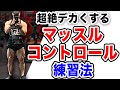 デカくなれる【マッスルコントロール】の練習法を教えます。