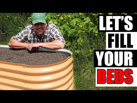 Solutions To Blossom End Rot In Tomatoes etc